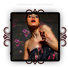 Fashion/Editorial